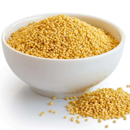 Is Foxtail Millet Hard To Digest